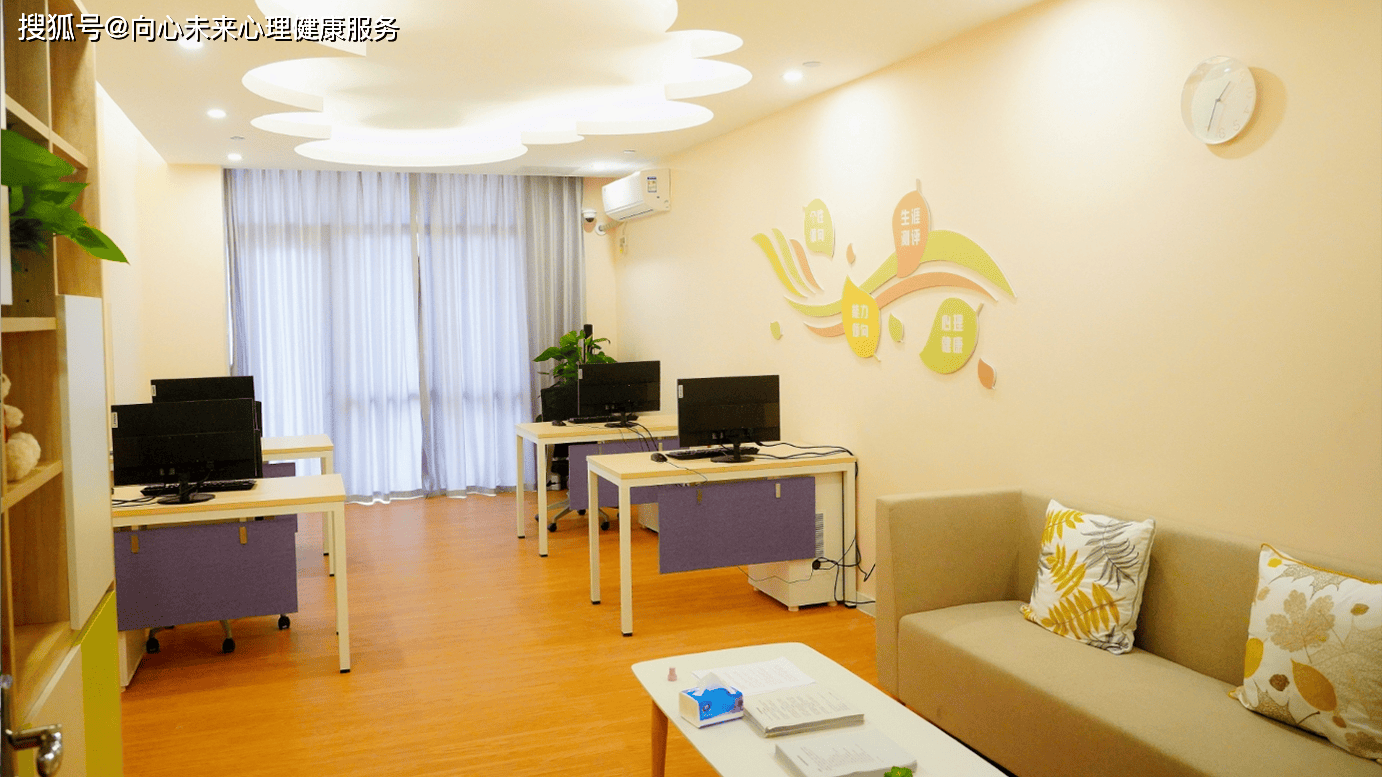 向心未来|学校心理咨询室基本设备配置_来访者_辅导室_功能